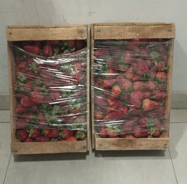 frutillas