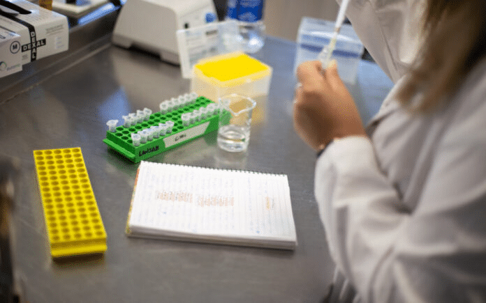 investigación