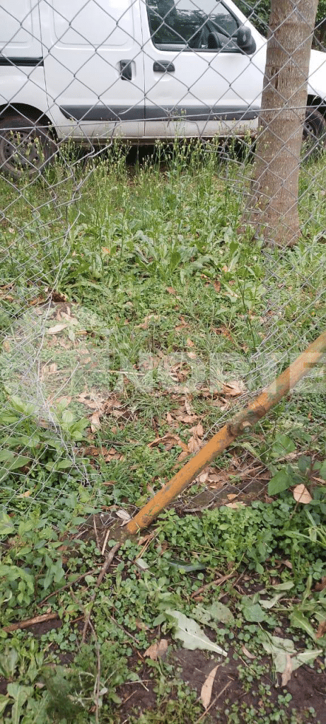 Robaron en tres viviendas diferentes durante la madrugada de este jueves en barrio Las Manzanitas