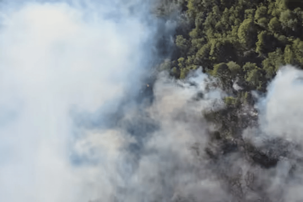 incendio Nahuel huapi hectáreas lago rio negro