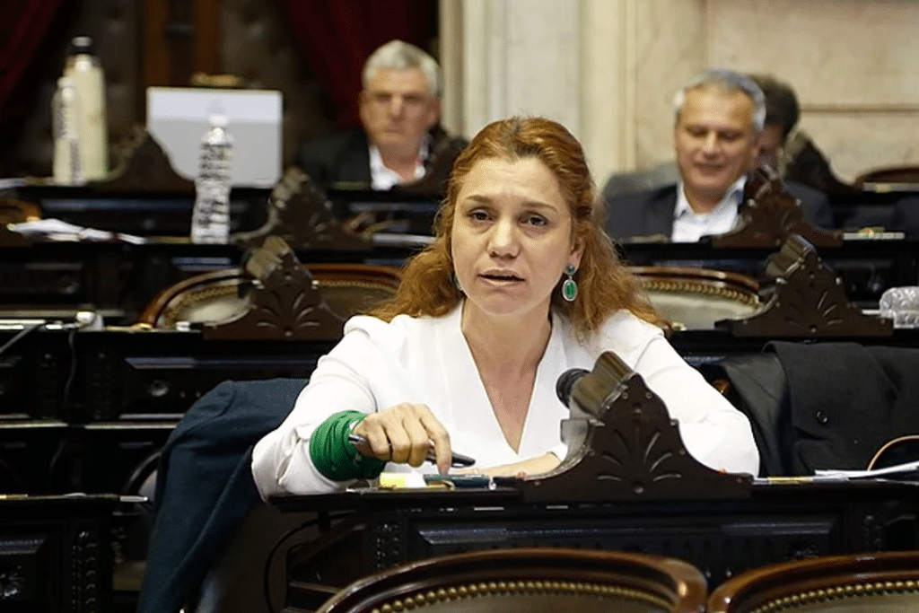 Diputada radical criticó la propuesta del Gobierno de eliminar el financiamiento público de las campañas electorales