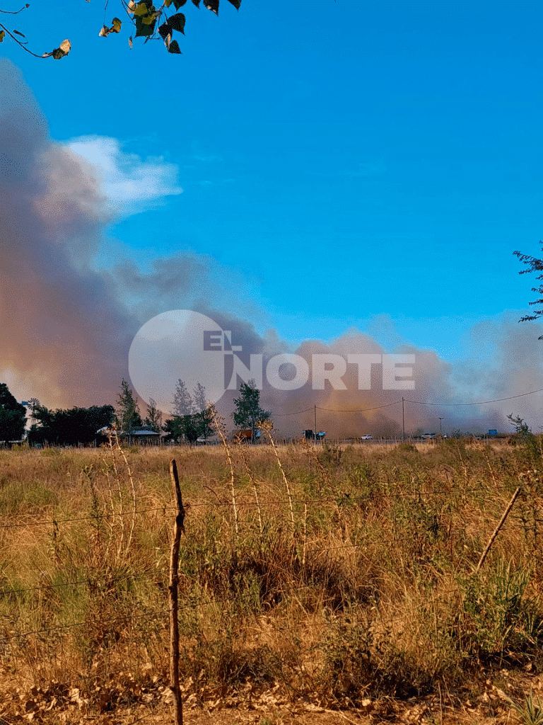 Incendio de pastizales en Sánchez: una dotación de bomberos trabaja en el lugar