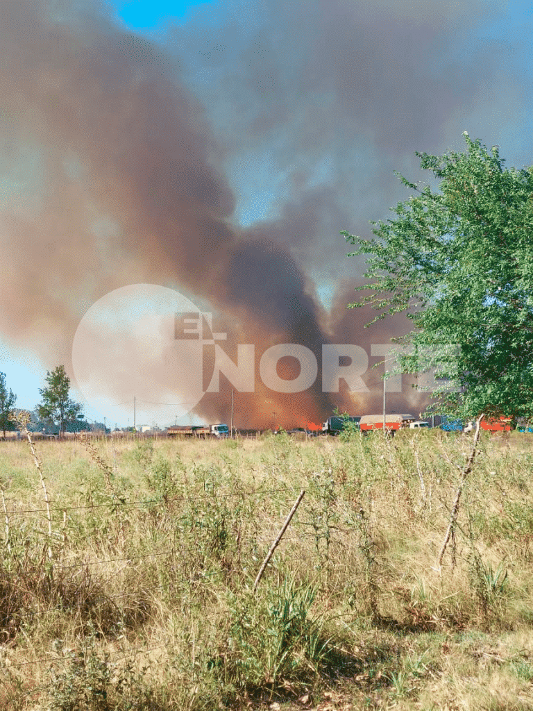Incendio de pastizales en Sánchez: una dotación de bomberos trabaja en el lugar