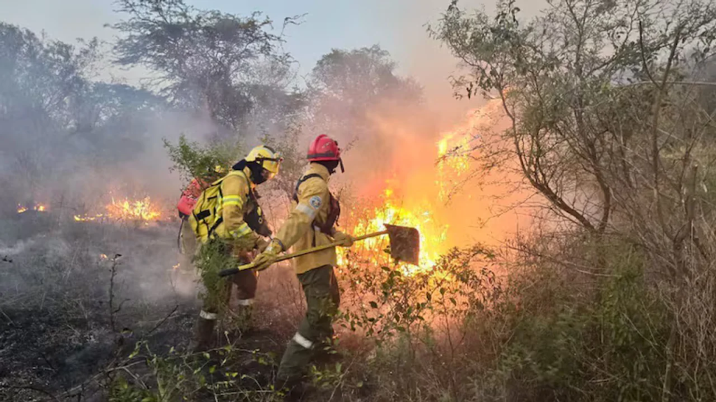 Festival solidario en El Chaltén para ayudar a las víctimas de los incendios