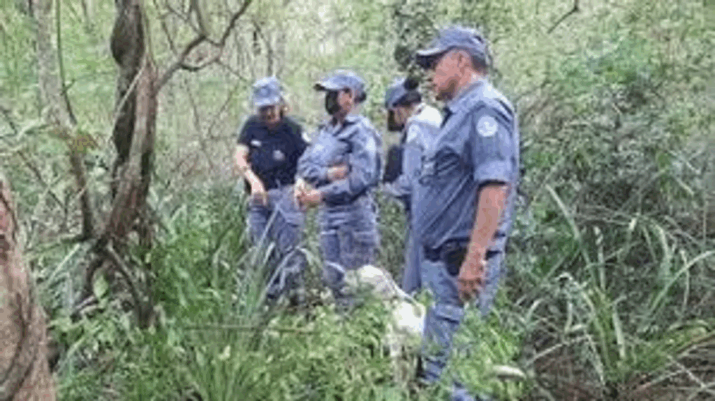 Formosa: detuvieron a la madre y al padrastro de la niña hallada muerta en Colonia Weitzel