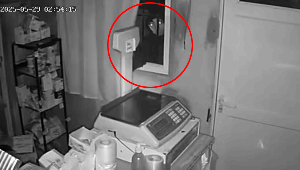 A través de una ventana un delincuente sustrajo mercadería de un almacén en zona norte