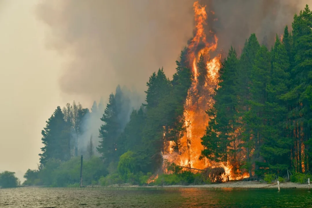 rocío brizuela mujer allanada incendios chubut