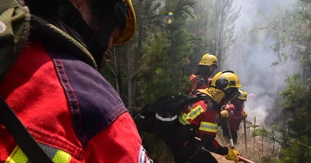 Chubut: a pesar de la lluvia, continúa la labor para extinguir los incendios forestales