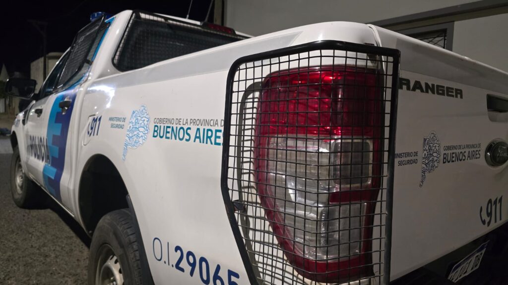 robó torta helada comercio zona sur