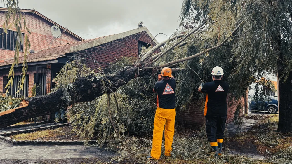 Alerta por temporal: prevén vientos de hasta 100 km/h y fuerte descenso de temperatura en gran parte de la Provincia