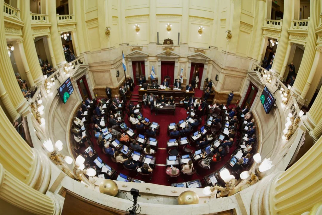 Senado debate la reforma de Salud Mental: autorizan internaciones no voluntarias y suman adicciones como enfermedad