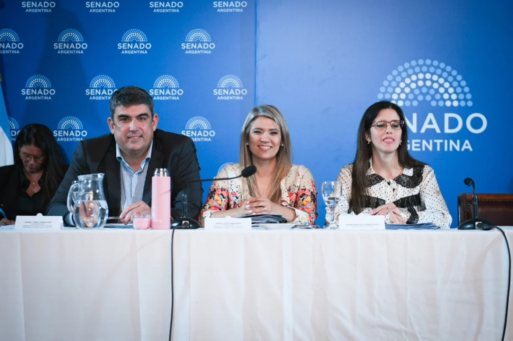 Salud pide al Senado aprobar cambios que habilitan internaciones involuntarias y priorizan evaluación médica
